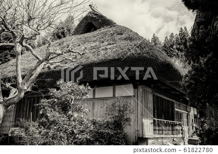 Thatched house Thatched house 61822780