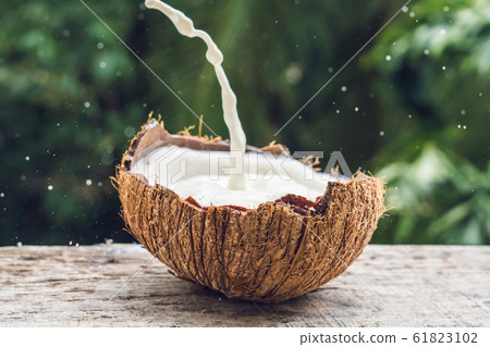 Coconut fruit and milk splash inside it on a background of a palm tree 61823102