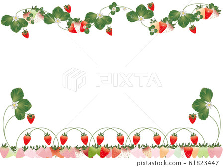 草莓葉子和花朵彩色草莓插畫背景素材 61823447