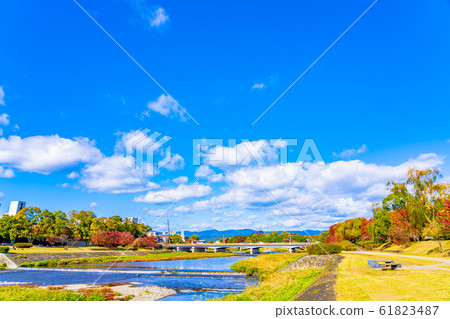 鴨川京都秋景 61823487