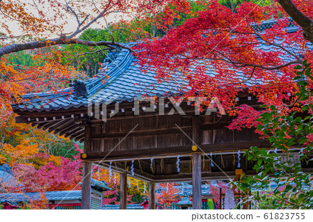 京都秋Ho山神社 61823755