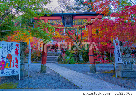 京都秋Ho山神社 61823763