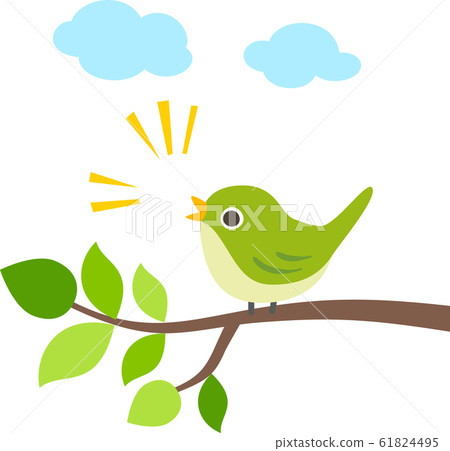 白眼在樹枝上吱吱作響 61824495