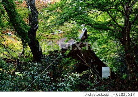 室龍寺，近藤，山脊建築，柿子茅草，平安時代初期的勃起， 61825517