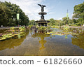 Bethesda fountain 61826660