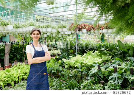 Confident plant nursery owner Confident plant nursery owner 61826672
