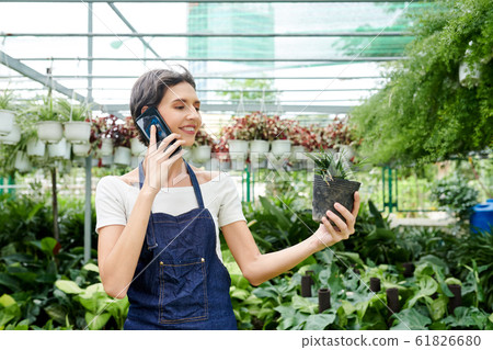 Hothouse worker talking on phone with customer Hothouse worker talking on phone with customer 61826680