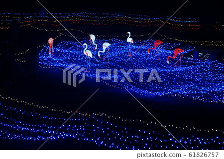 京都Ilumiere 4 61826757