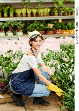 Woman working in garden nursery Woman working in garden nursery 61826828