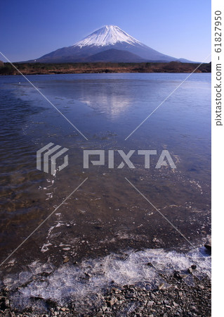 反映富士山的冬季湖畔 61827950