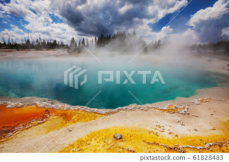 Yellowstone 61828483