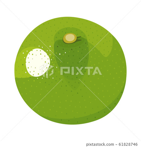 Illustration of fruit. Refreshing sour citrus of Cabos and Sudachi. 61828746