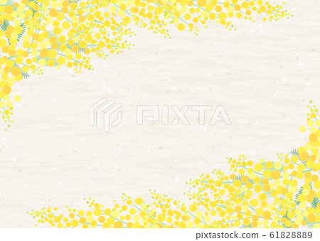 Mimosa frame natural texture background 61828889