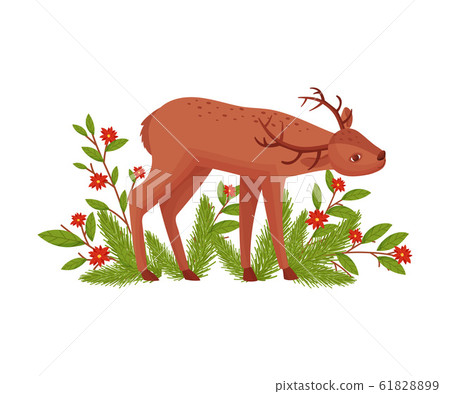 Brown Deer Near Floral Twigs. Hoofed Ruminant Mammal Standing with Its Head Bending Vector Illustration Brown Deer Near Floral Twigs. Hoofed Ruminant Mammal Standing with Its Head Bending Vector Illustration 61828899