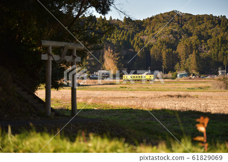 (千葉縣/夷umi市/淺間神社/夷umi鐵路)夷umi鐵路的黃色火車穿過神社的鳥居和農村地區 (千葉縣/夷umi市/淺間神社/夷umi鐵路)夷umi鐵路的黃色火車穿過神社的鳥居和農村地區 61829069