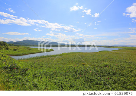 夏天的小木湖(北海道紋別市) 夏天的小木湖(北海道紋別市) 61829075