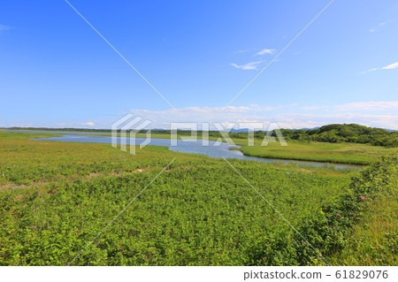夏天的小木湖(北海道紋別市) 夏天的小木湖(北海道紋別市) 61829076