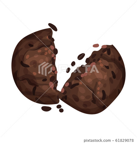 Chocolate Cookie Crumbs and Chips Isolated On White Background Vector Item 61829078