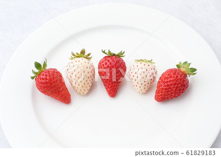 Red and white strawberries arranged on a plate (Akira) Red and white strawberries arranged on a plate (Akira) 61829183