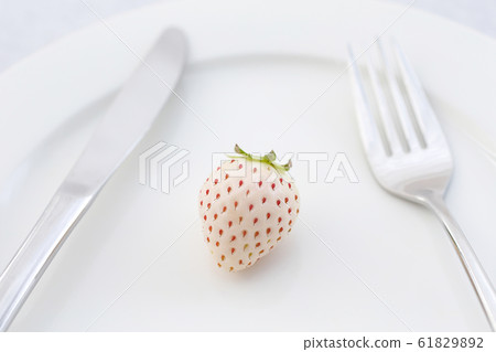 銀鑲有白羽雞放在盤子上 銀鑲有白羽雞放在盤子上 61829892