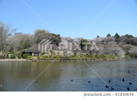 鶴見區三池公園 鶴見區三池公園 61830656