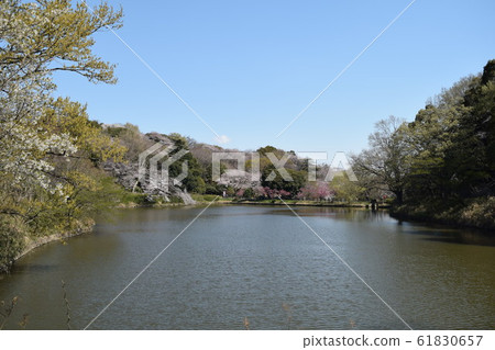 鶴見區三池公園 鶴見區三池公園 61830657