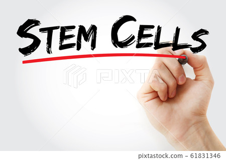 Stem cells text with marker Stem cells text with marker 61831346