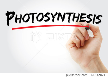 Photosynthesis text with marker Photosynthesis text with marker 61832871