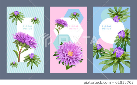 Floral background Aster 61833702