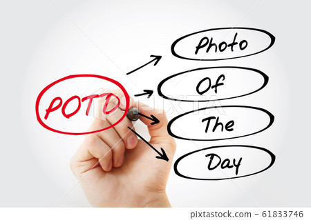POTD - Photo Of The Day, acronym with marker POTD - Photo Of The Day, acronym with marker 61833746
