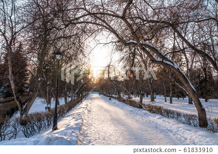 Snow covered city park in winter 61833910