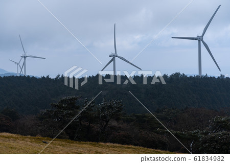 [Mie Prefecture] Aoyama Plateau Winter 61834982
