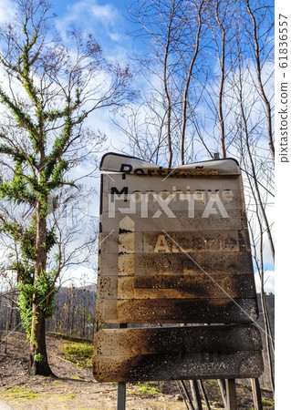 Burnt sign on the road after a forest fire in Monchique, Portugal. Portimao, Monchique, Alcaria do Peso, village name, weight. 61836557