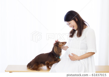 孕婦和臘腸狗 61837015