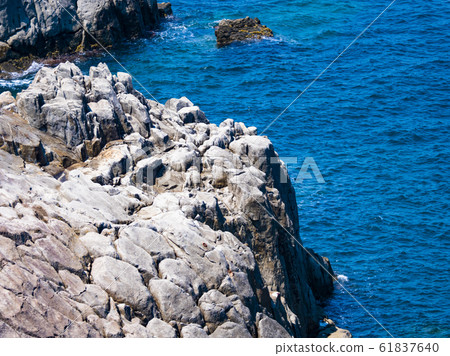 福井縣'市三國町安藤島的柱狀聯合 福井縣'市三國町安藤島的柱狀聯合 61837640