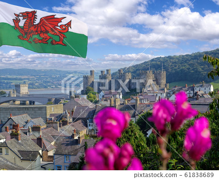 Famous Conwy Castle in Wales, United Kingdom, series of Walesh castles 61838689