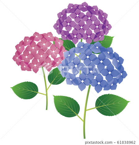 花の絵 リアル綺麗な八重桜の枝イラスト 3つの花飾り背景なし(透過)無料