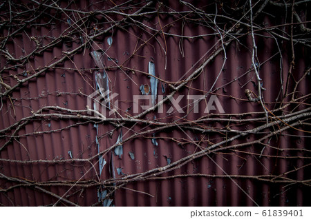 紋理牆背景鍍鋅鐵老房子植物藤蔓遺跡鋼鐵 照片素材 圖片 圖庫