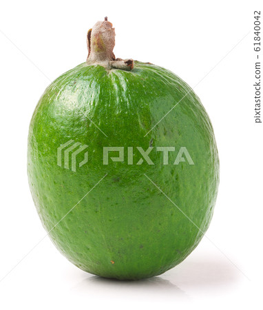 Tropical fruit feijoa Acca sellowiana isolated on white background. 61840042