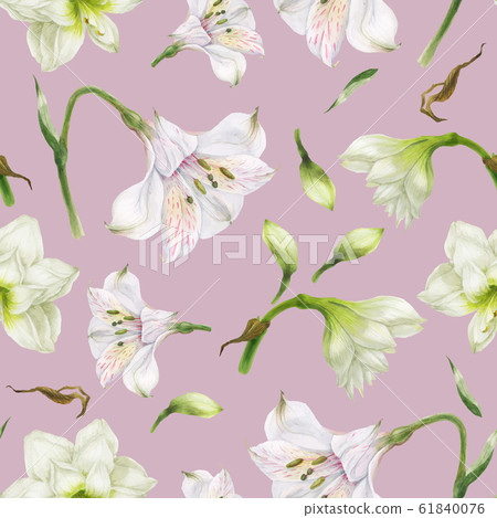 Watercolor hippeastrum and alstroemeria seamless 61840076