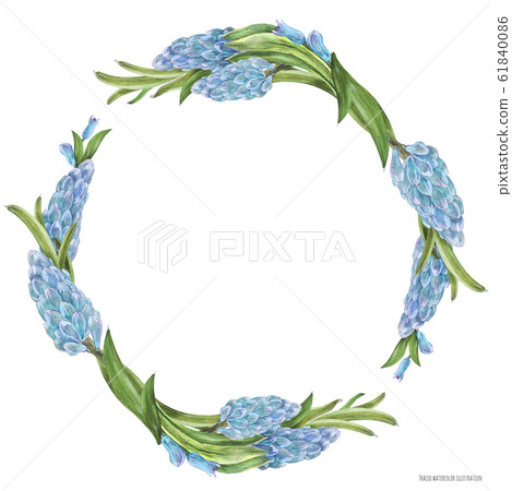 Spring watercolor wreath with hyachinth flowers 61840086