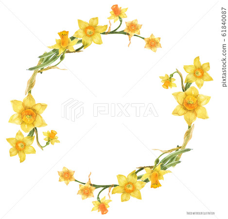 Decorative watercolor wreath with yellow daffodil Decorative watercolor wreath with yellow daffodil 61840087