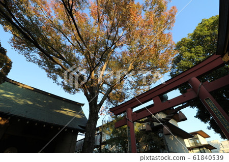 您的名字叫聖地，東京四谷的須賀神社 61840539