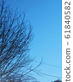 Sky tree 61840582