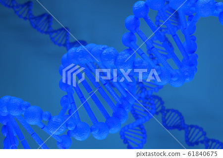 3d rendering of DNA (deoxyribonucleic acid) 61840675