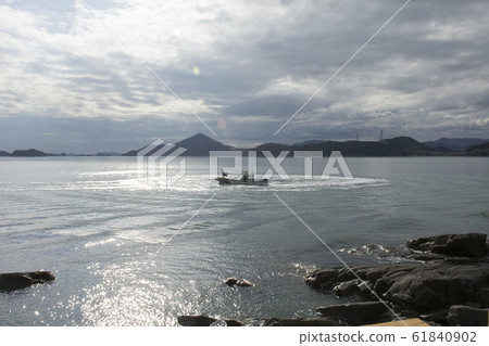 海 61840902