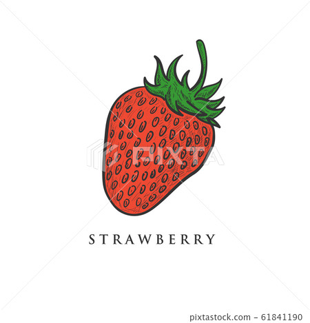 hand drawn strawberry designs 61841190