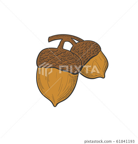 hand drawn oaks logo designs hand drawn oaks logo designs 61841193