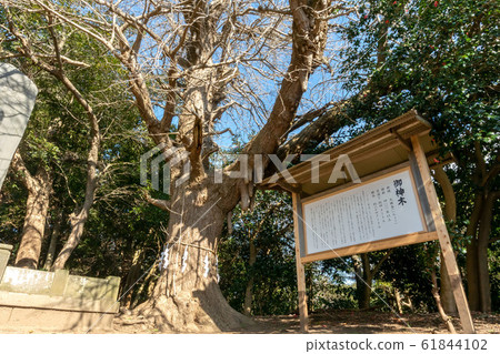 伊豆大津神社 61844102