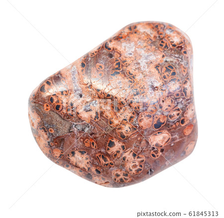 pebble of Leopard skin jasper (Jaguar Stone) stone 61845313